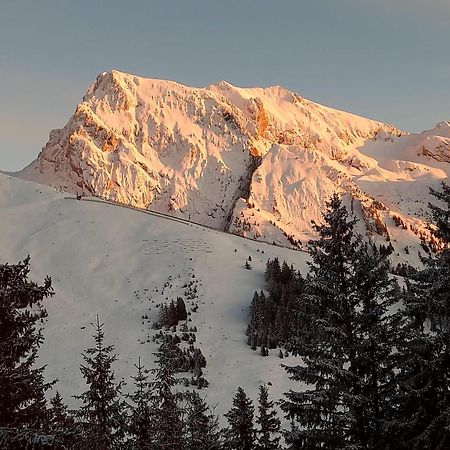 Appartement T2 Col De Merdassier Au Pied Des Pistes 马尼戈 外观 照片