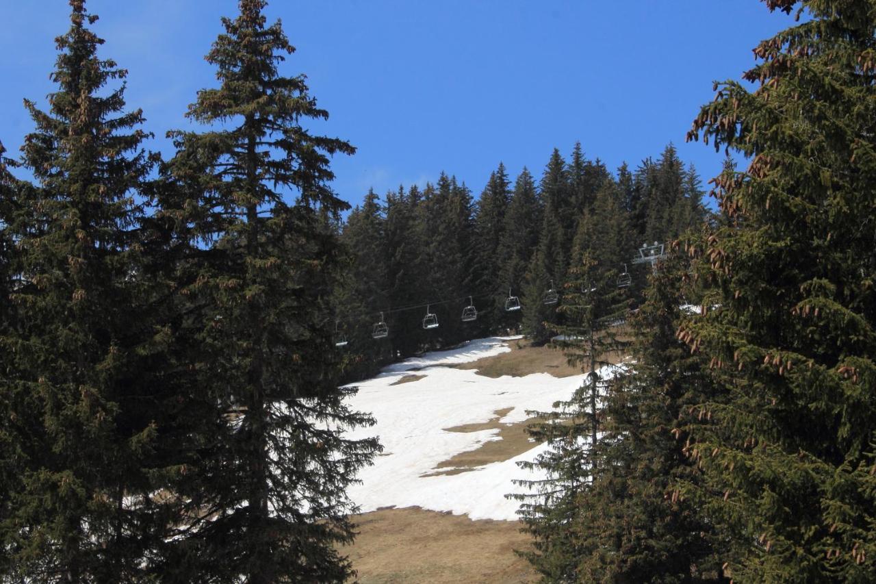 Appartement T2 Col De Merdassier Au Pied Des Pistes 马尼戈 外观 照片