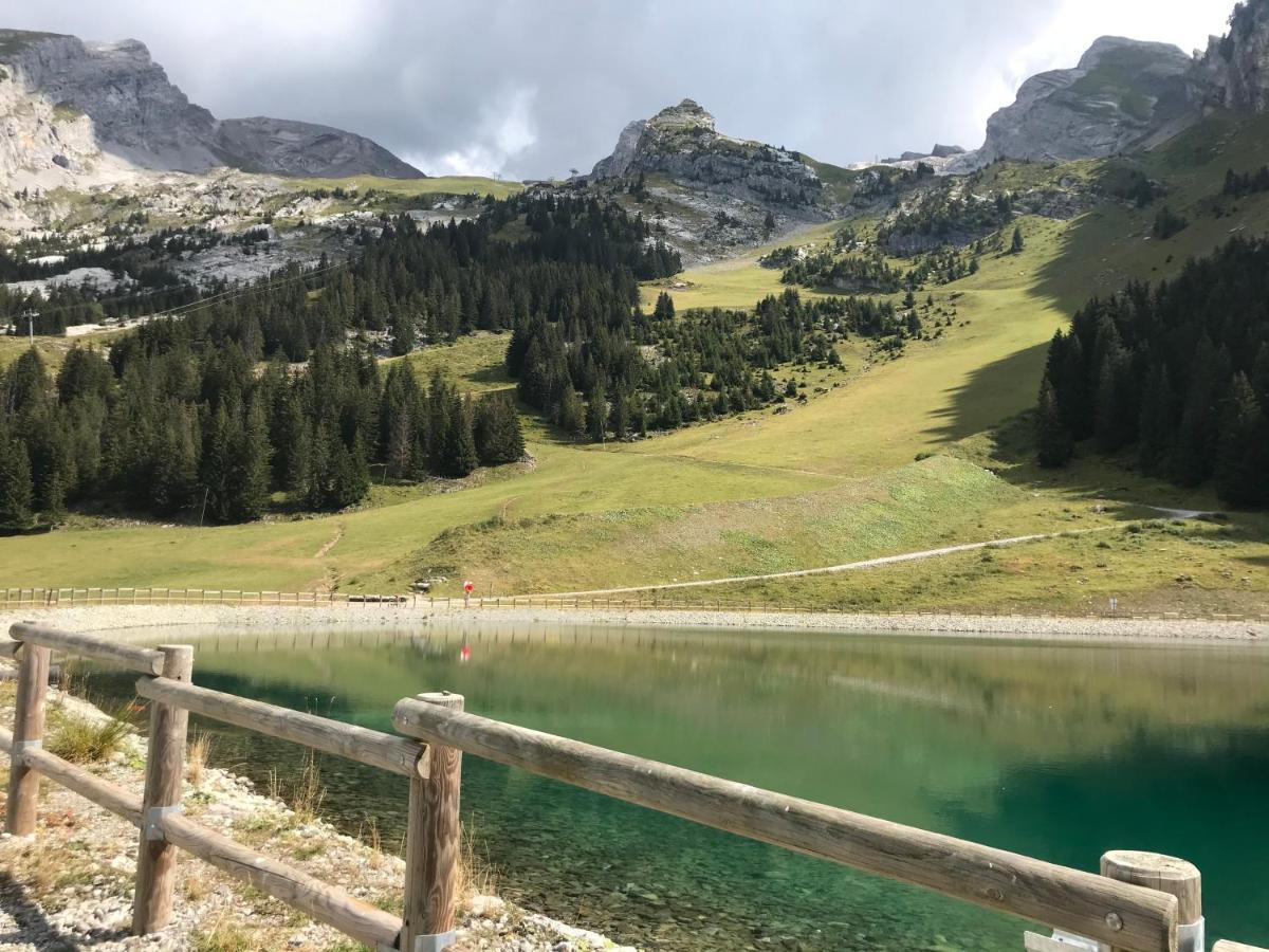 Appartement T2 Col De Merdassier Au Pied Des Pistes 马尼戈 外观 照片
