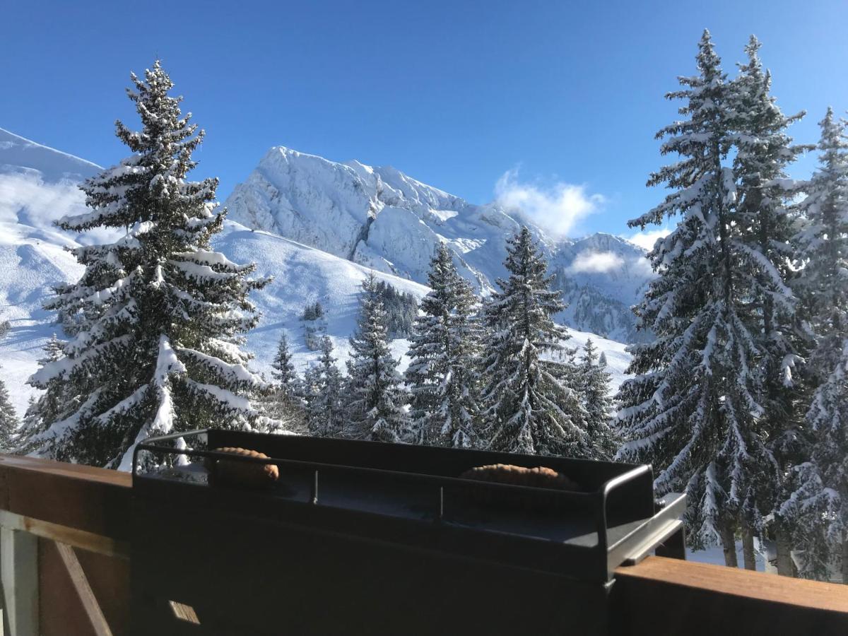 Appartement T2 Col De Merdassier Au Pied Des Pistes 马尼戈 外观 照片